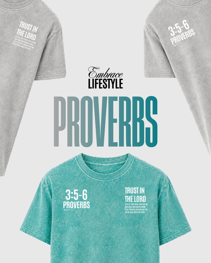 PROVERBS 3:5–6